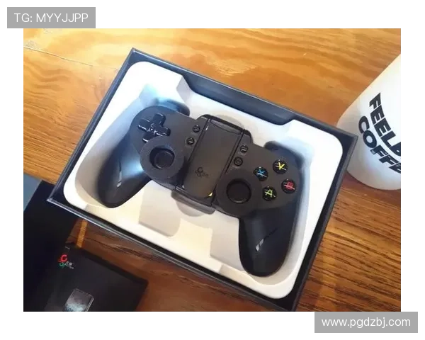 pg网站手机娱乐在线玩，随时随地畅享精彩游戏体验