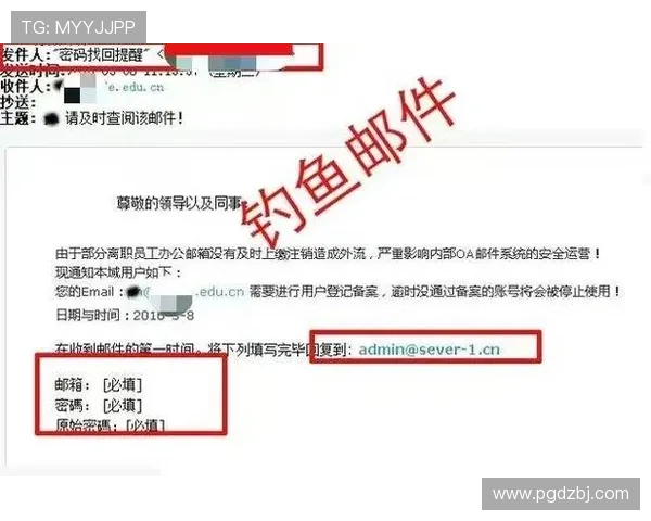 如何通过官方渠道安全访问397pg电子官网入口，避免钓鱼网站的详细指南