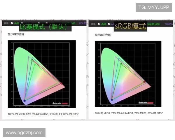 深入了解PG电子竞技俱乐部的团队组成与核心成员介绍